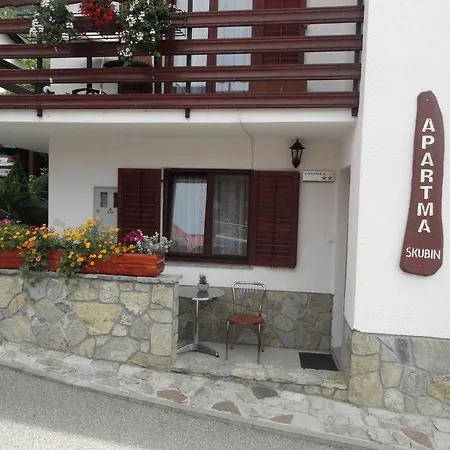 Apartma Skubin Apartament *